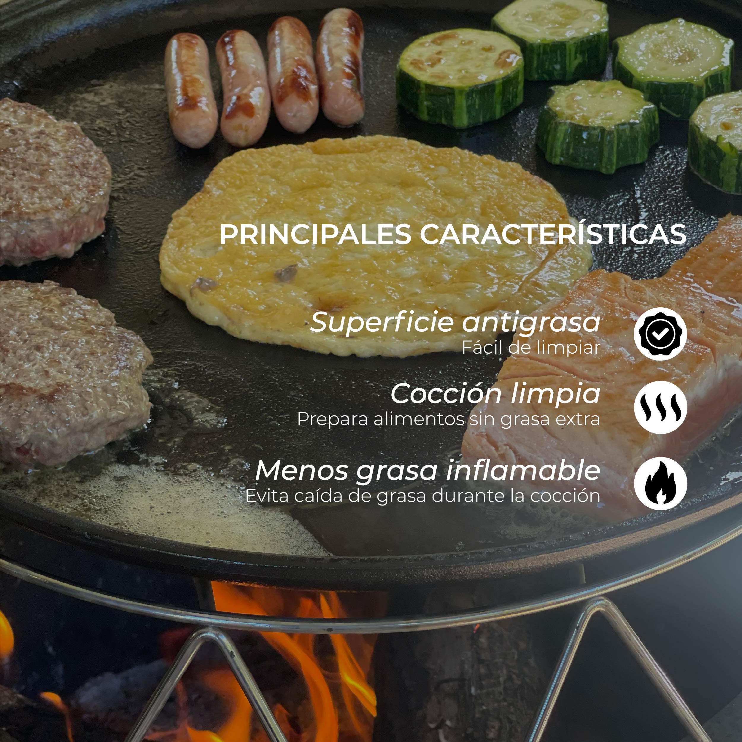 Plancha Fierro Fundido Universal  Brasero Sin Humo L
